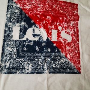 Youth size XL (16) Levis Tee-shirt.